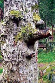 images7