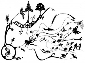 Evolution__Biologia_UEPB_by_resenhista