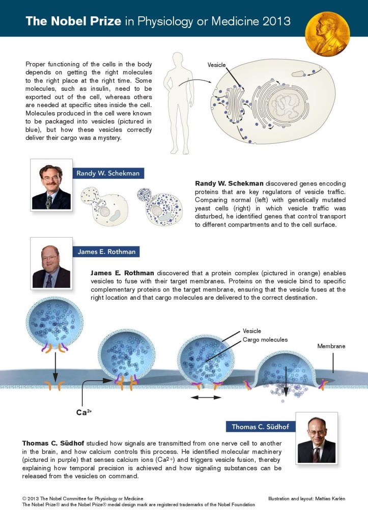med_image_press_eng-page-001