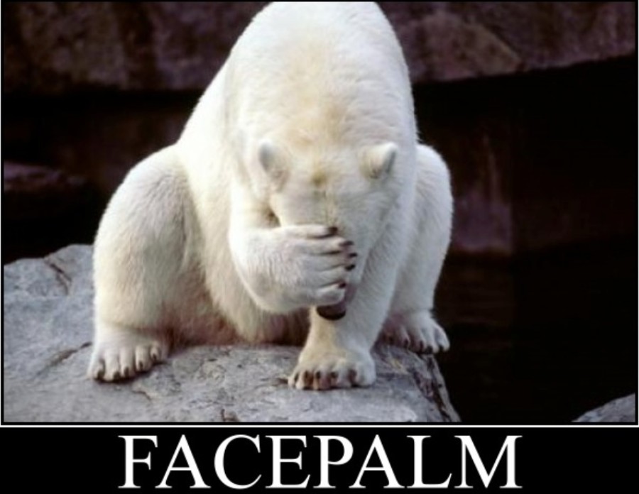 face_palm_-_Google_Search