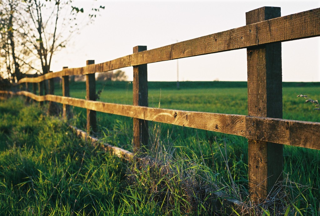 Farm_fence_in_Watlington