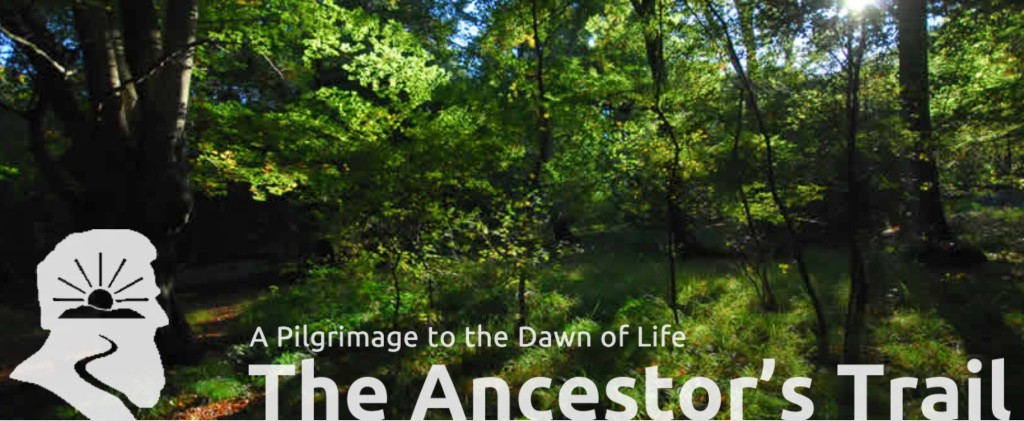 Ancestor_s_Trail