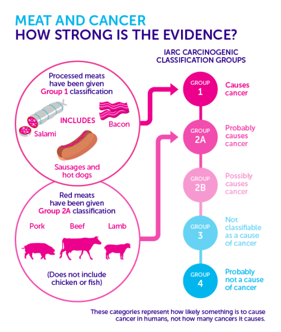 151026-IARC-Meat-rating-UPDATE2