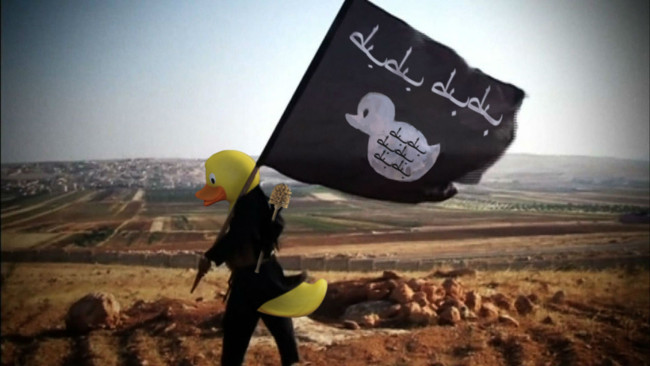 isis ducks