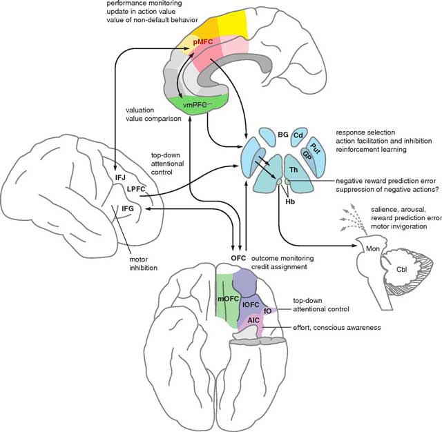 atheist brain