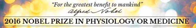 nobelprize_org-medicine