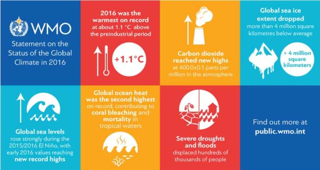 key findings