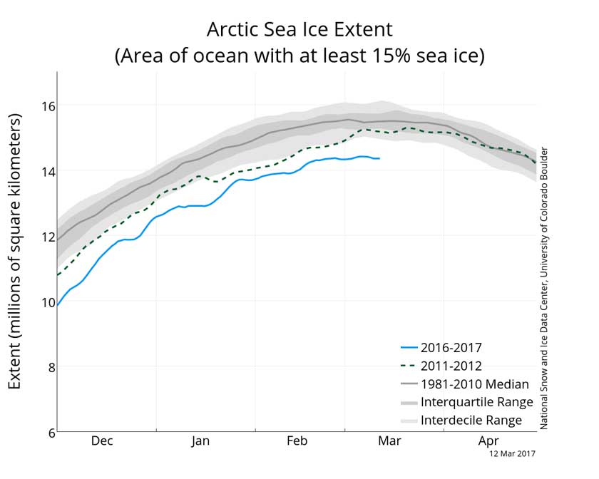NSIDC Arctic