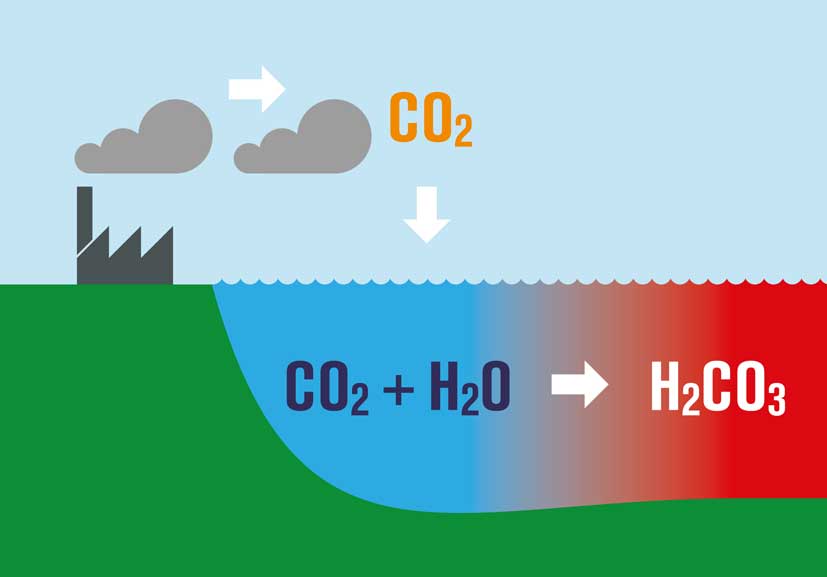 ocean acidification