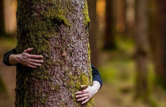environmental belief
