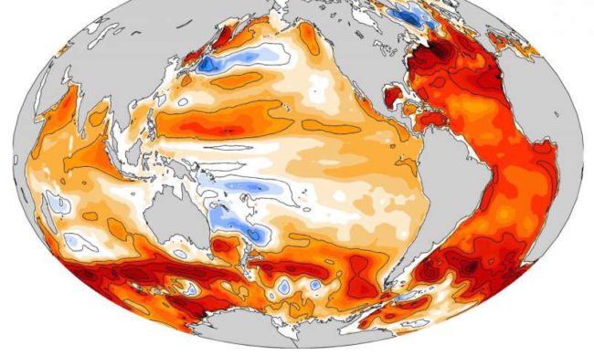 ocean warming