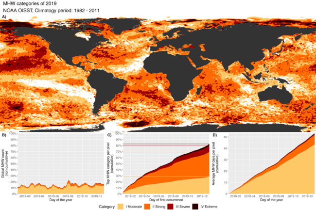 ocean heatwaves