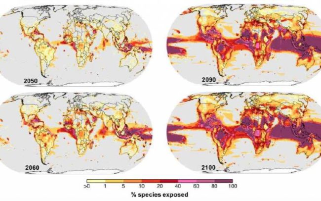 ecosystem collapse