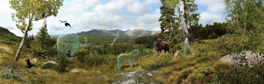 Genetic material found in permafrost sediments from the Yukon contains rich information about ancient ecosystems. Credit: Julius Csotonyi/Government of Yukon